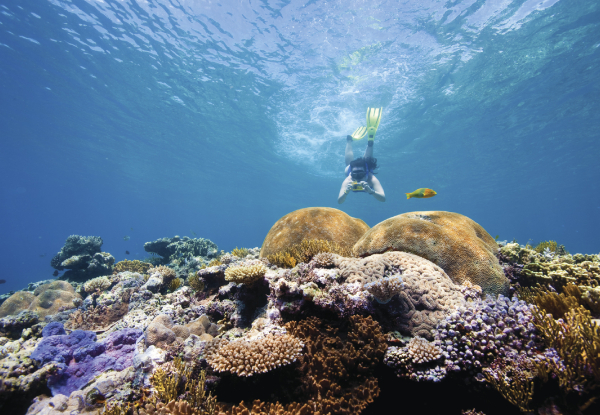 Per-Person, Twin-Share Eight-Night Great Barrier Reef Escape in an Interior Cabin incl. Flights, Accommodation, Meals & Entertainment Aboard the Pacific Dawn - Options for Oceanview or Balcony Cabin
