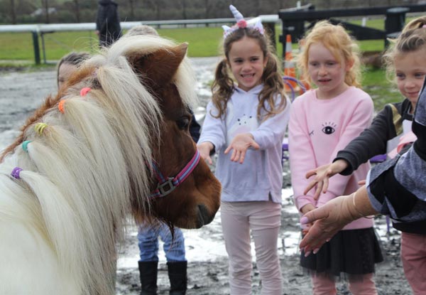 Kids' Pony Party for up to 12 Children incl. Venue Hire, Two Ponies for Pony Rides, Miniature Carriage Rides & Staff Supplied