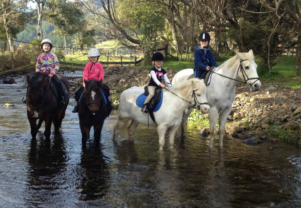 One-Hour Group or 30-Minute Private Horse Riding Lessons - Options for up to Three Group or Private Lessons - Valid from 10th January 2019
