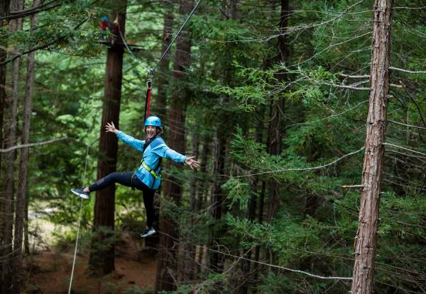 Guided Redwoods Altitude Experience for Adult or Child incl. Ziplining & 25-Metre High Guide