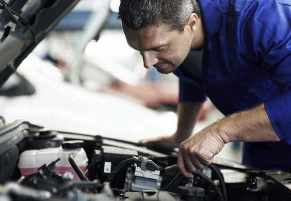 Vehicle Maintenance Package incl. Cambelt Replacement, Safety Checks, Fluid Top-Ups & More