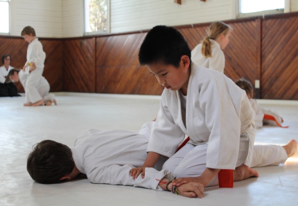 Nine-Week Children's Aikido Beginners Course
