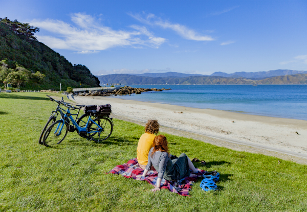 The Ultimate Wellington Bays & Petone Full-Day eBike Adventure - Options for Two & Four People
