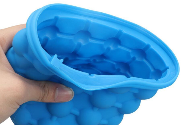 One Ice Cube Maker - Option for Two with Free Delivery