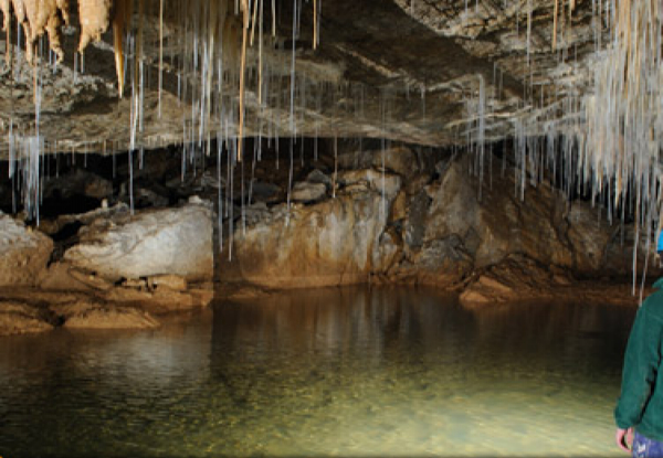 Waitomo Caves Tour & Boat Ride for One Person incl. Travel from Auckland  - Options for up to Four People