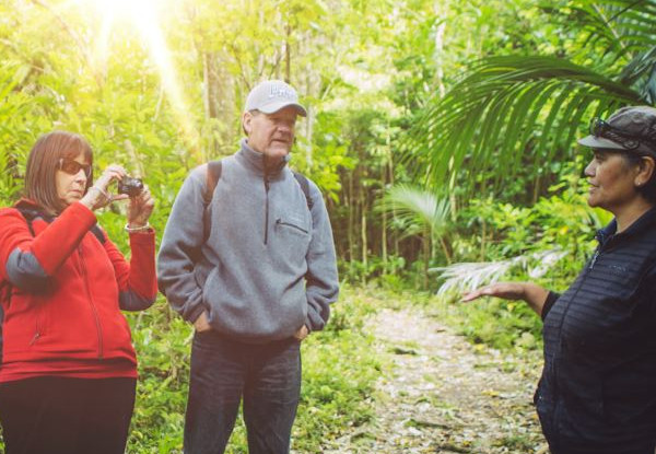 One-Night Kiwi Spotting Tour & Stay for Two People on Kapiti Island incl. Ferry Transport, Introductory Talk, DOC Permits, Dinner, Breakfast & Lunch - Option for Two-Night Stay