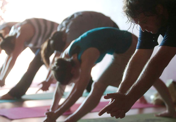 Two Vinyasa Yoga Sessions in Wellington - Option for Five or Ten Classes
