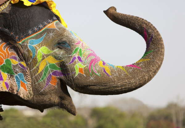 Per-Person, Twin-Share 10-Day Gems Of India Package incl. Breakfasts, Accommodation, Transportation, Taj Mahal, Train Ride, Boat Ride & More - Option for Three, Four- & Five-Star Accommodation Packages