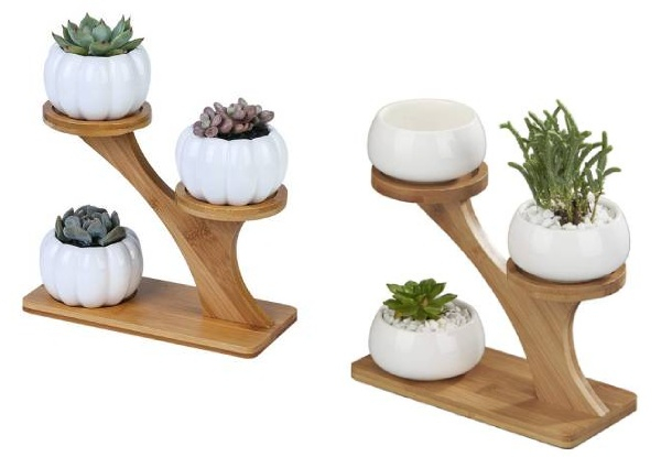 Three Pots with Three-Tier Bamboo Stand - Two Styles Available