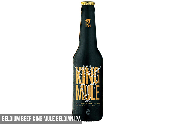 24-Pack of 330ml Norwegian Beer Gold Gull Pilsner - Option for Belgium Beer King Mule Belgian IPA