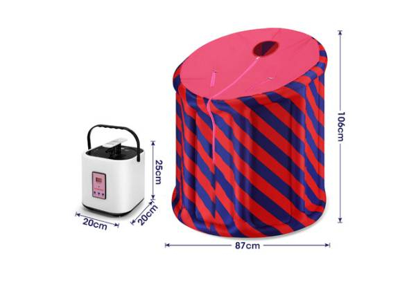 1000W Nine-Temperature Portable Inflatable Full Body Steamer