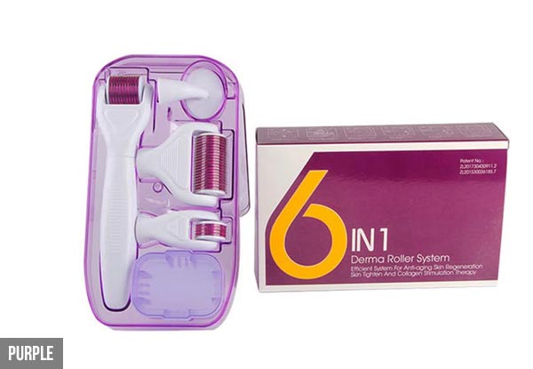 Six-in-One Derma Roller - Two Colours Available with Free Delivery