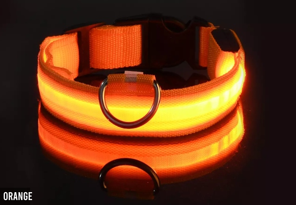 Rechargeable Light Up Dog Collar - Five Colours Available