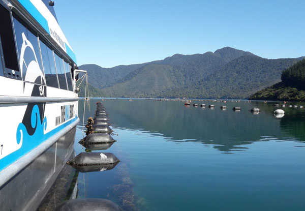 Mail Boat Winter Special Day Trip Through the Pelorus Sounds