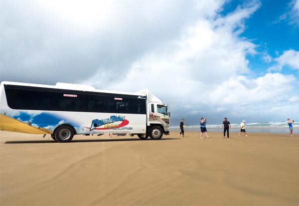 Dune Rider Full Day Tour to Cape Reinga via 90 Mile Beach incl. Lunch - Departing from Paihia or Kerikeri - Option for Two People & Family Pass