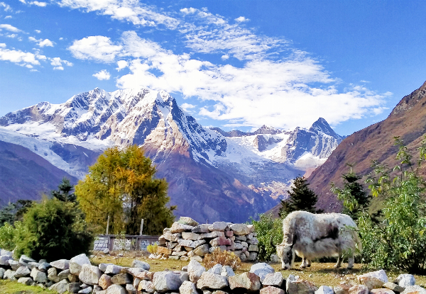 Per Person, Twin-Share 15-Day Nepal Manaslu Circuit Trek Package incl. Accommodation, Airport Transfers, Transportation, Guide, Permits & More