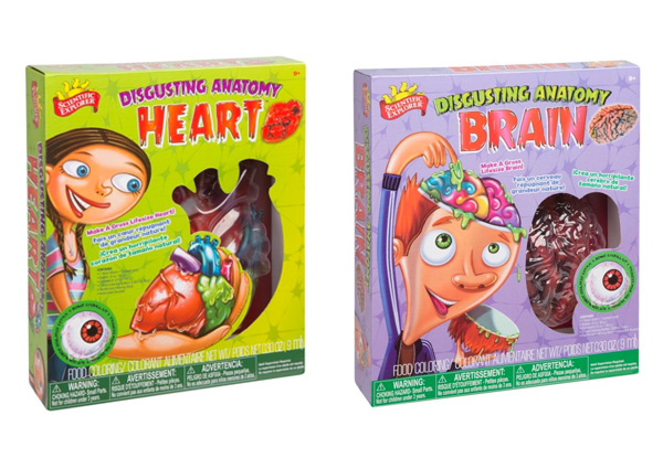 Scientific Explorer Discovery Disgusting Anatomy Kit - Choose from Heart or Brain
