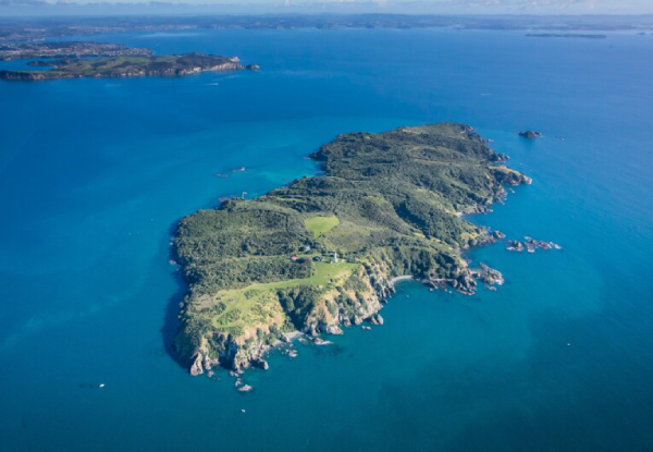 4-Hour Adventure: Guided Snorkeling & Island Eco-Walk in Auckland