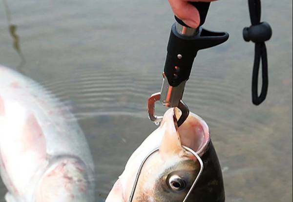 Fish Holder Gripping Tool