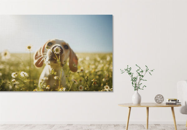 Personalised Canvas Print - Eight Sizes Available