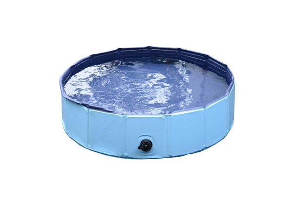 Foldable Outdoor Pet Bath - Three Sizes  Available