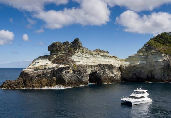 4-Hour Auckland Harbour Cruise for up to 30 Guests on Motor Yacht Savoy incl. Two Large Grazing Platters & Drink on Arrival - Options for up to 49 Guests