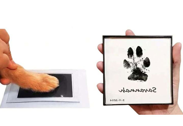 Inkless Pet Paw Print Kit - Three Colours Available