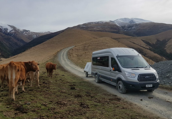 Mount Hutt Weekend Return Shuttle Bus for One