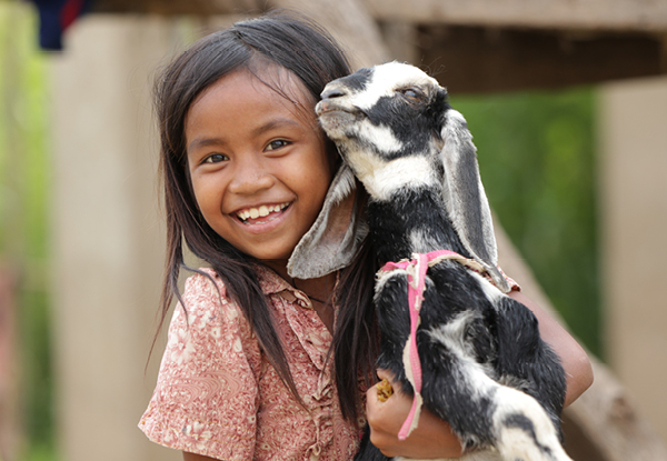 Gift a Goat with World Vision Smiles