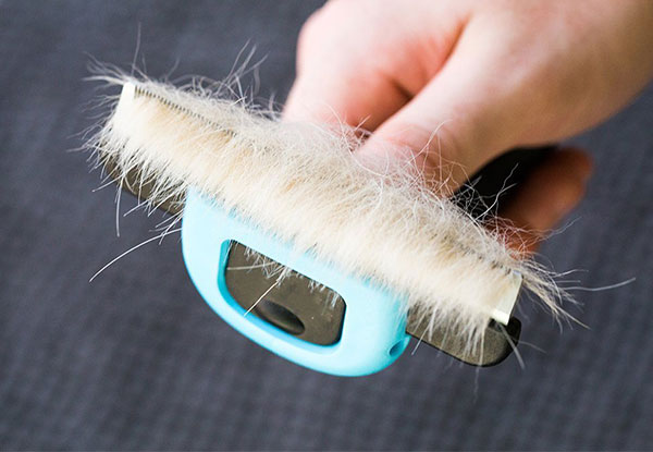 Pet Grooming Shedding Brush - Two Sizes Available