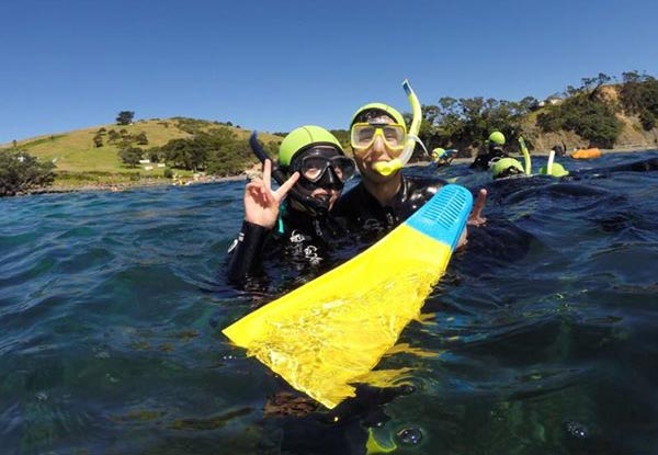 $38 for a PADI Guided Snorkel Experience or $99 for a Half-Day PADI 'Try Dive' Scuba Experience at Goat Island Marine Reserve - Valid Mon - Thurs - Options for Two People