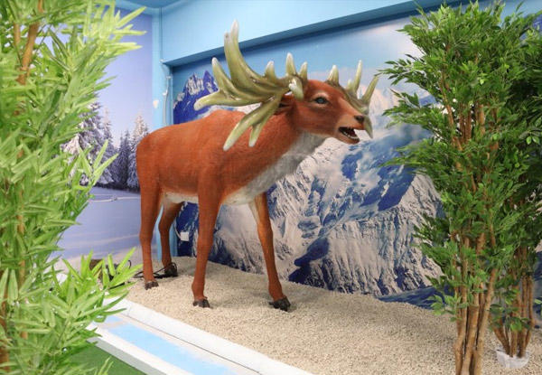 18 Holes of Ice Age Minigolf for One Person - Options for up to Six People