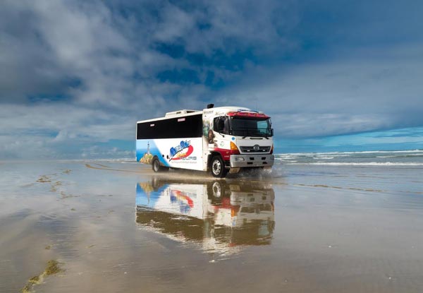 Dune Rider Full Day Tour to Cape Reinga via 90 Mile Beach incl. Lunch - Departing from Paihia or Kerikeri - Option for Two People & Family Pass