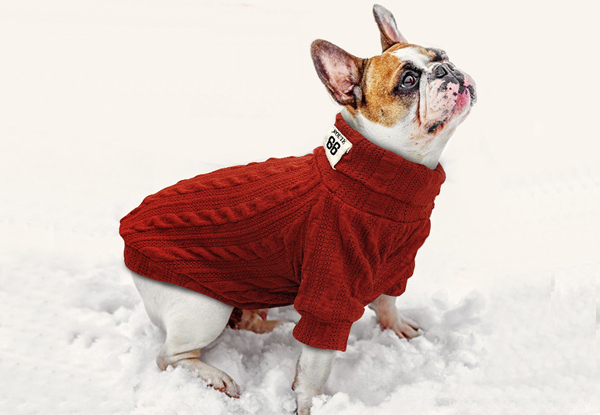 Knitted Sweater for Small Dogs - Four Sizes & Six Colours Available