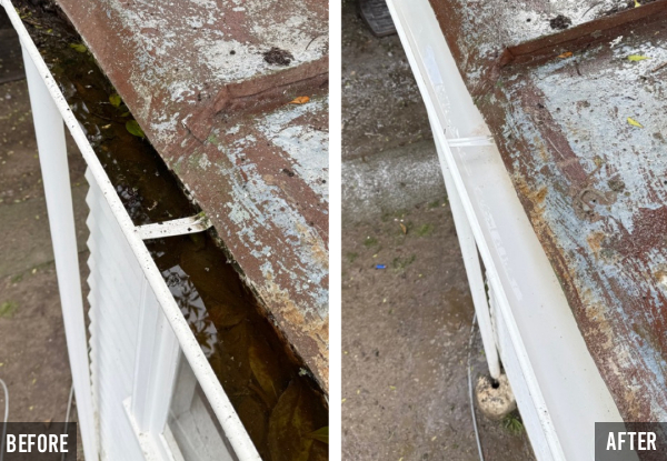 Winter Ready House Package with Roof Treatment & Gutter Clean - Option to Add House Wash