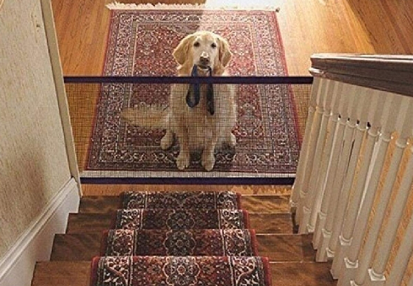Home Pet Mesh Isolation Net - Option for Two with Free Delivery