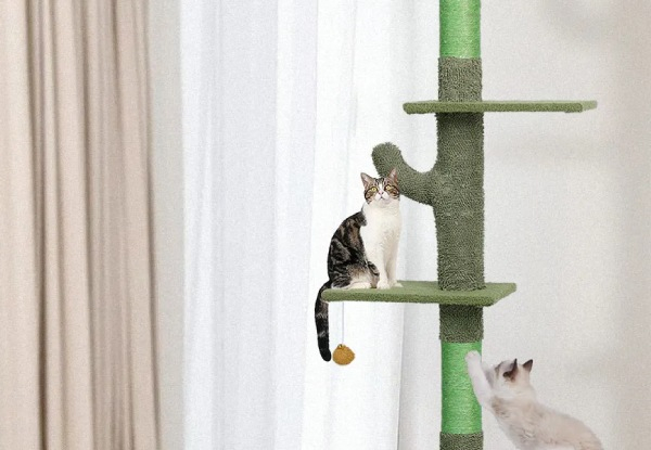 Floor to Ceiling Cat Tree Tower with Scratching Post