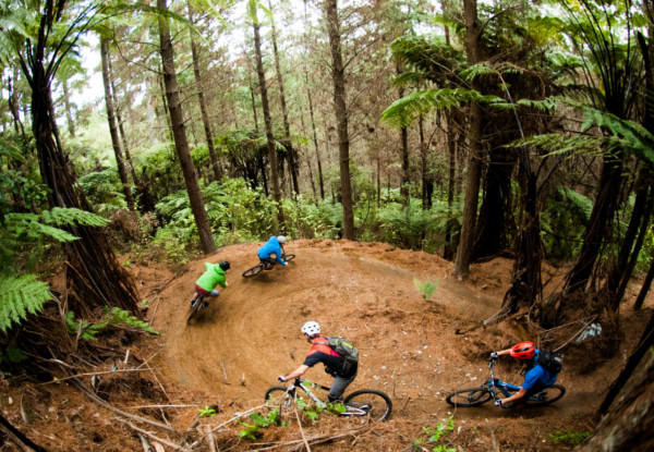 Per-Person 16 Day Epic NZ Dreamer MTB Tour – North & South Island incl. Accomodation, Guides, Activities & More