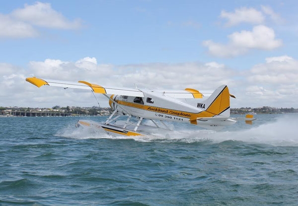 Rangitoto & City Scenic Flight for One Person - Option to incl. a Three-Course Fine Dining Experience