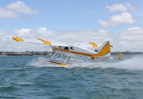 Seaplane Scenic Flight - Option for Carbon Zero Flight