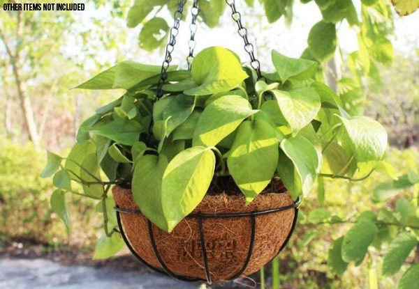 Two-Pack of Metal Hanging Planter Baskets - Three Sizes Available