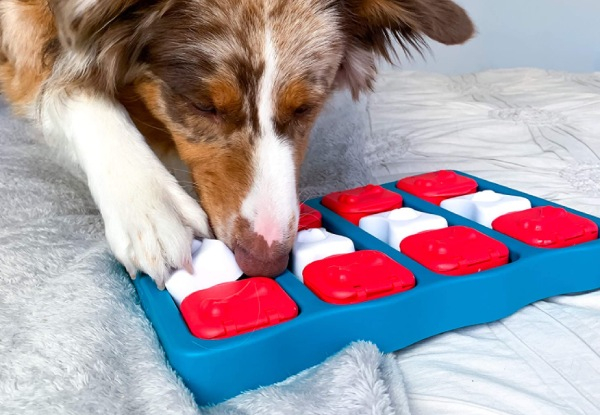 Dog Treat Puzzle Game