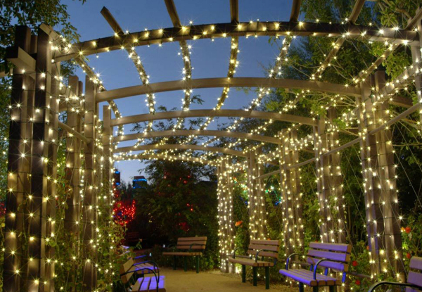 Christmas 100-LED Solar Powered String Light - Available in Three Colours & Option for 330 & 500-LED