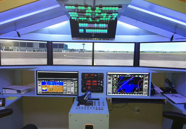 One-Hour Virtual Flight Simulation - Option for Two Hours