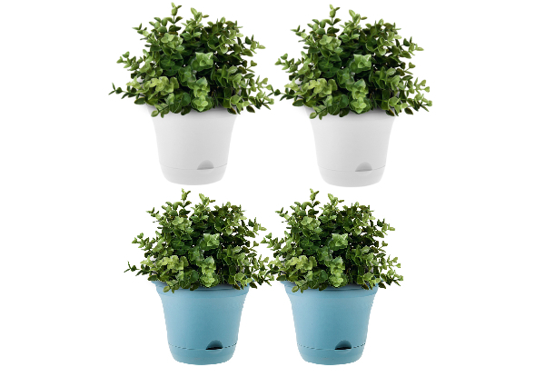 Two-Pack Self-Watering Planter - Two Colours Available & Option for Three-Pack