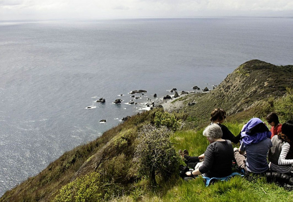 One or Two-Night Kiwi Spotting Tour & Stay for Two People on Kapiti Island incl. Ferry Transport, Introductory Talk, DOC Permits, Dinner, Breakfast & Lunch - Option for Midweek & Weekend Stay