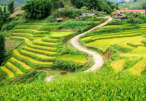 Per-Person Twin-Share 13-Day Authentic Vietnam Plus Golden Bridge Package incl. Meals as Indicated, Three-Star Accom, Transfers, Tour Guide & More - Options for Solo Traveller & up to Five-Star Accom