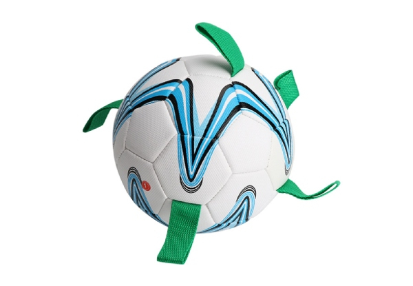 Soccer Ball Dog Toy - Option for Two