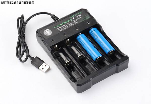 USB independent Charging Portable Electronic Battery Charger
