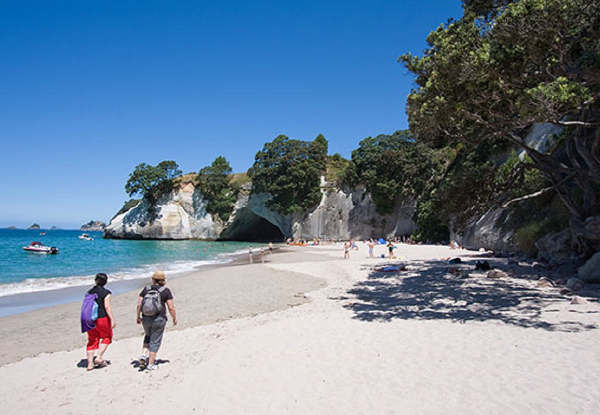 Coromandel, Cathedral Cove & Hot Water Beach Full-Day Tour from Auckland for an Adult - Option for Child